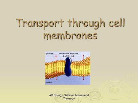 AS Biology, Cell membranes and Transport1 Transport through cell membranes.