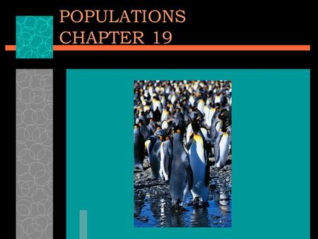 POPULATIONS CHAPTER 19. POPULATIONS  Population-all of the individuals of a species that live together in one place at one time.  Demography-the statistical.