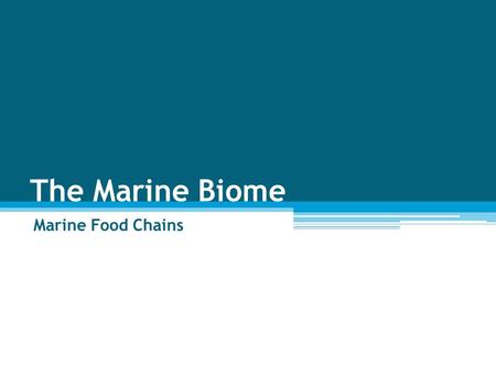 The Marine Biome Marine Food Chains. Biodiversity The variety of living things in a particular area.