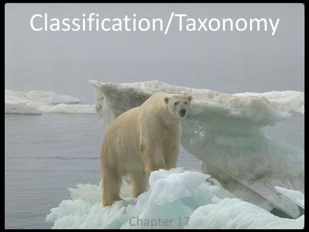 Classification/Taxonomy