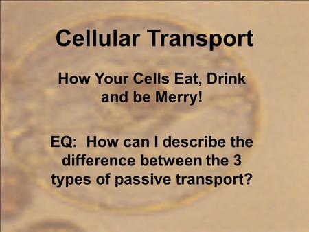 How Your Cells Eat, Drink and be Merry!