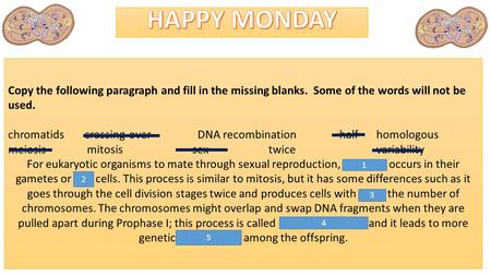 Copy the following paragraph and fill in the missing blanks. Some of the words will not be used. chromatids crossing-over DNA recombination half homologous.