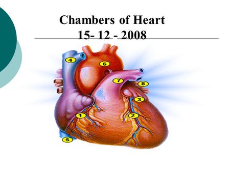 Chambers of Heart 15- 12 - 2008.