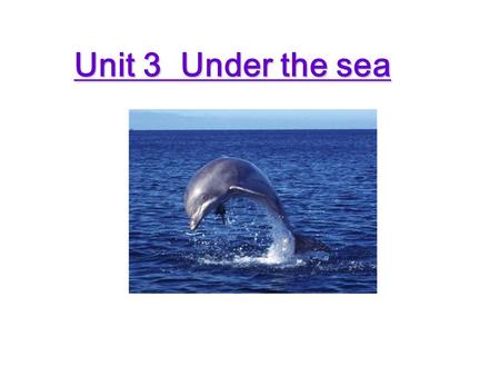 Unit 3 Under the sea. Today, we’re going to take a look at the world under the sea. So, are you ready? Oh! Woo! Ah! Yeah! Gosh! Yes! Great! Wow! Go~~~