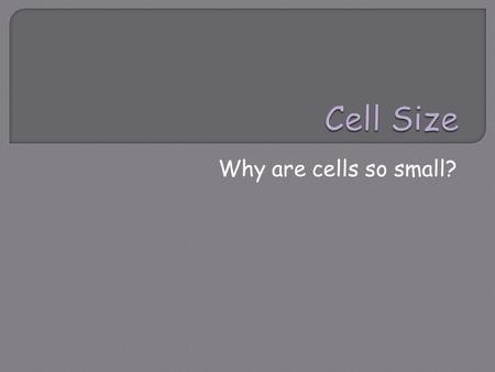 Why are cells so small?.  Why cells are small? Diffusion limits cell size DNA limits the cell size. Surface area- volume ratio.