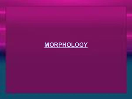 MORPHOLOGY. Morphology The study of internal structure of words, and of the rules by which words are formed.