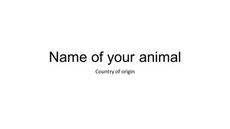 Name of your animal Country of origin. Animal What might be some interesting information about the animal you selected? What interested you about this.