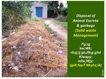 INDIA NGO Disposal of Animal Excreta & garbage (Solid waste Management) Fg;ig kw;Wk; rhzj;ij ghJfhg;ghd Kiwapy; mfw;Wjy; ( jplf;fopT Nkyhz;ik ) 1INDIA.