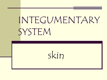 INTEGUMENTARY SYSTEM skin Components of the integumentary system Skin Hair Nails Glands.
