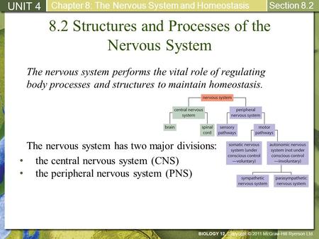 8.2 Structures and Processes of the Nervous System