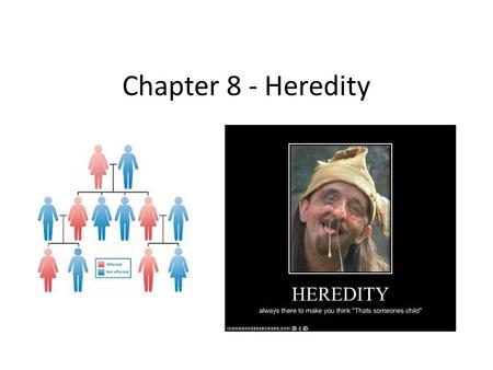 Chapter 8 - Heredity. Heredity – is the passing of traits from parent to offspring. We call these “inherited traits”.