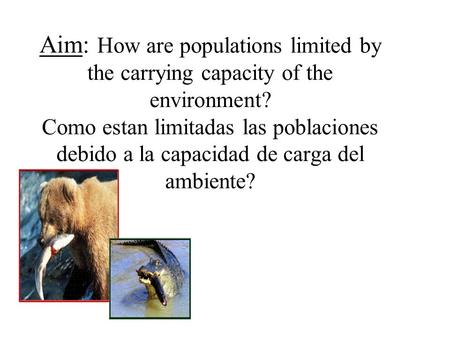 Aim: How are populations limited by the carrying capacity of the environment? Como estan limitadas las poblaciones debido a la capacidad de carga del ambiente?