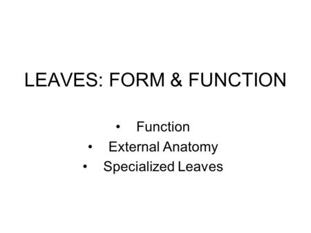 LEAVES: FORM & FUNCTION Function External Anatomy Specialized Leaves.
