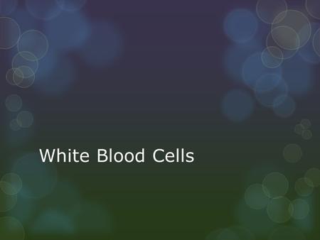 White Blood Cells. Types What do they do?  Play a large role in the immune system  Fight disease and infection  Creating antibodies  Phagocytosis.
