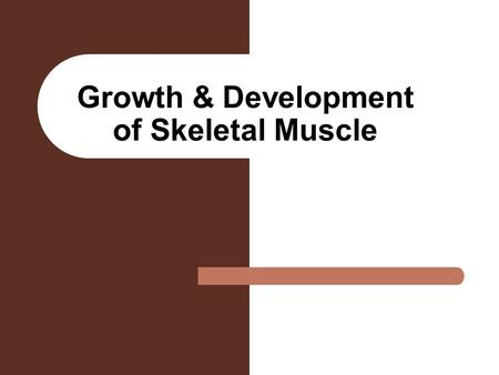 Growth & Development of Skeletal Muscle