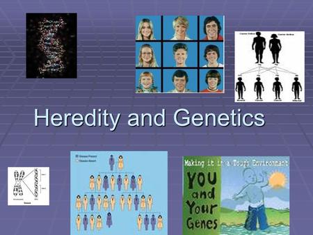 Heredity and Genetics Heredity and Genetics. How it all works  Dominant is the expressed trait. (That means the trait we see. So it gets a capital.