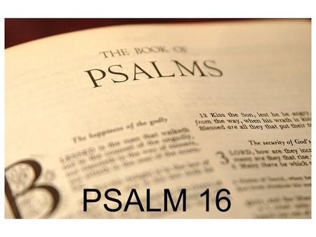 PSALM 16 PSALM 1 Martin Luther; James Boice