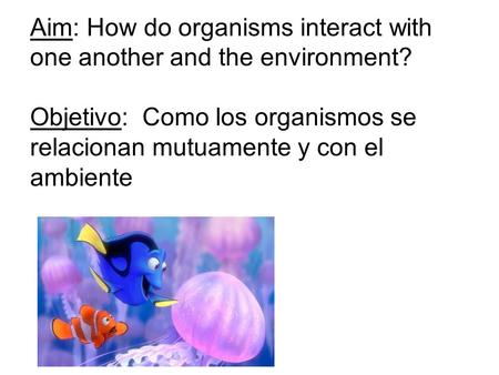 Aim: How do organisms interact with one another and the environment? Objetivo: Como los organismos se relacionan mutuamente y con el ambiente.
