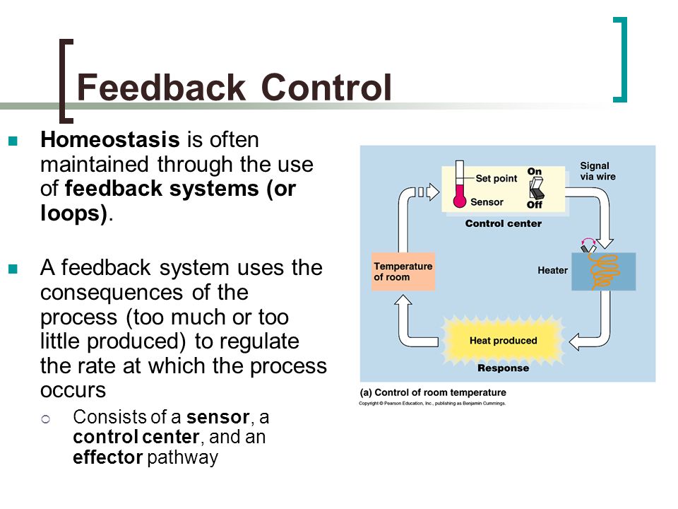 Key Elements: Ge,