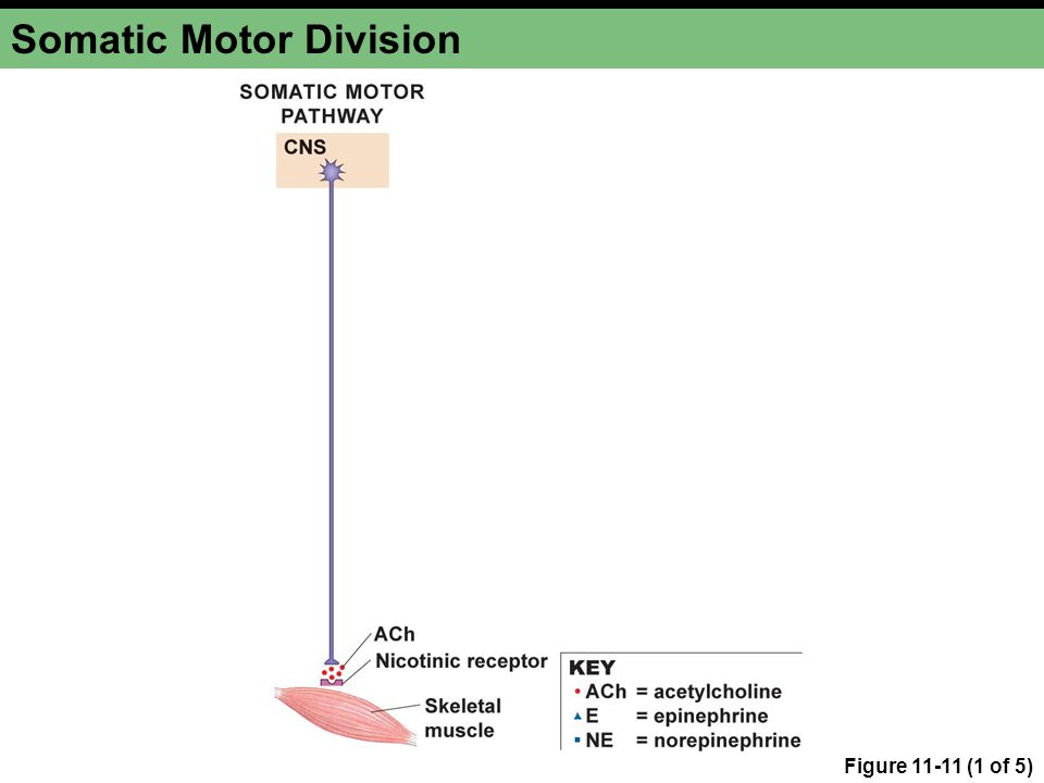 download multiphase flow dynamics