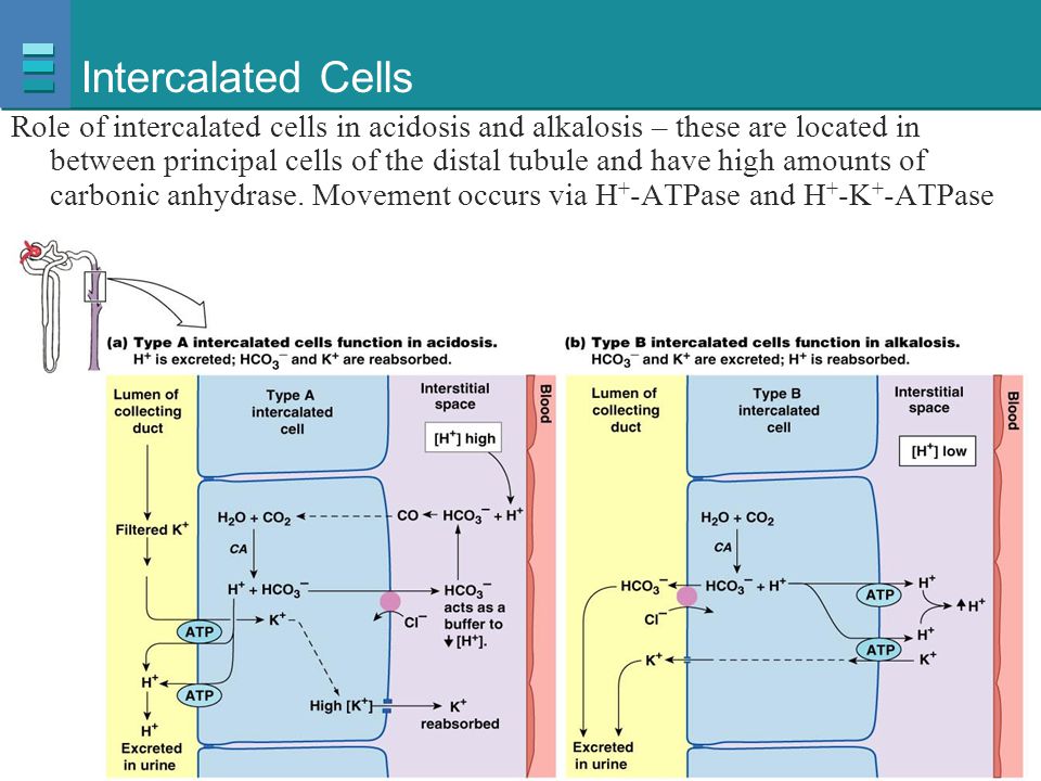 download tennisology inside the science