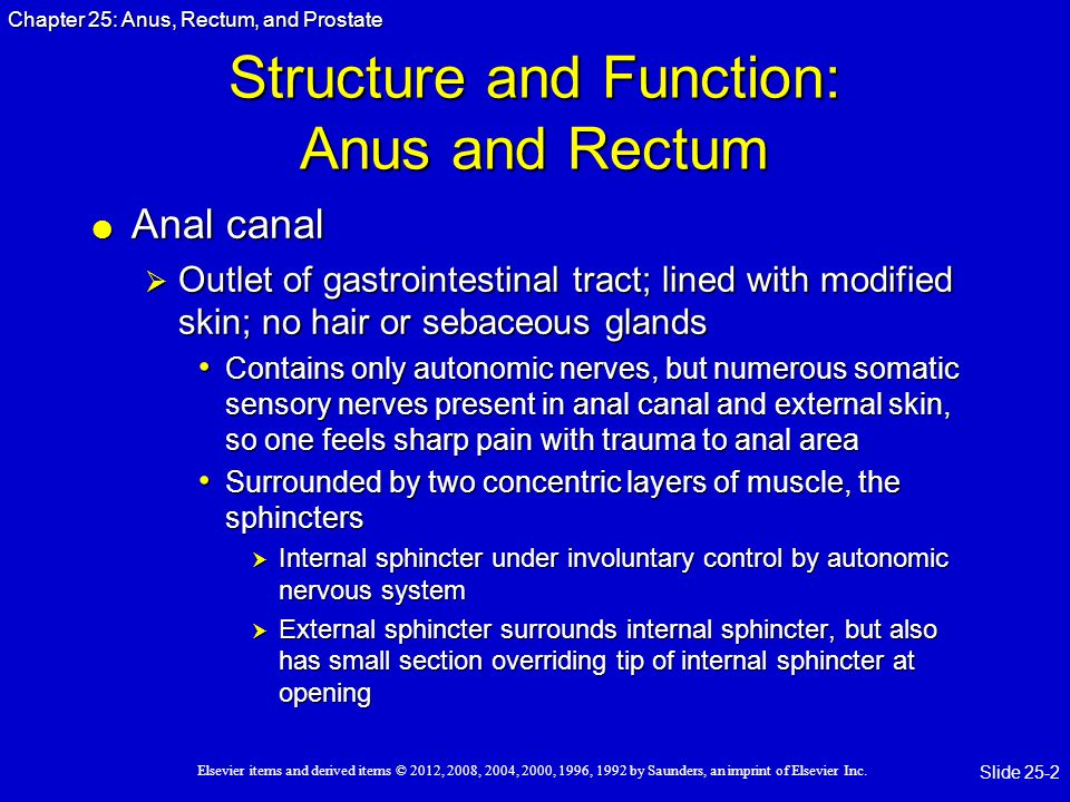 Function Of Anal Canal 71