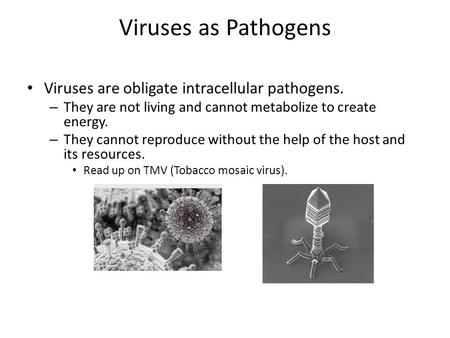 Viruses as Pathogens Viruses are obligate intracellular pathogens. – They are not living and cannot metabolize to create energy. – They cannot reproduce.