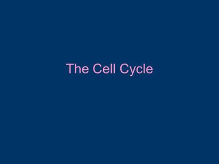 The Cell Cycle. When do cells divide? Reproduction Replacement of damaged cells Growth of new cells In replacement and growth cell divisions how should.