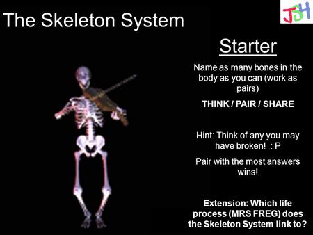 The Skeleton System Starter Name as many bones in the body as you can (work as pairs) THINK / PAIR / SHARE Hint: Think of any you may have broken! : P.