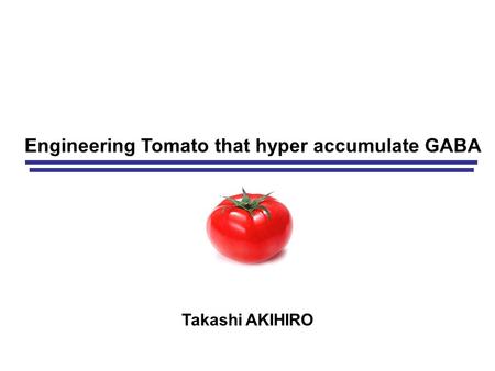 Engineering Tomato that hyper accumulate GABA Takashi AKIHIRO.