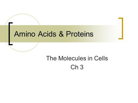Amino Acids & Proteins The Molecules in Cells Ch 3.
