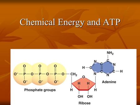 Chemical Energy and ATP. Life depends on energy That energy is stored in chemical bonds of energy storing compounds ATP, NADH, NADPH and FADH2 The chief.