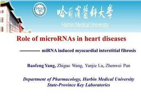 Role of microRNAs in heart diseases