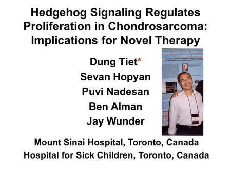 Hedgehog Signaling Regulates Proliferation in Chondrosarcoma: Implications for Novel Therapy Dung Tiet* Sevan Hopyan Puvi Nadesan Ben Alman Jay Wunder.