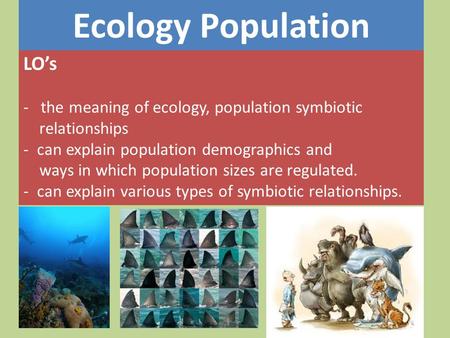 LO’s - the meaning of ecology, population symbiotic relationships - can explain population demographics and ways in which population sizes are regulated.