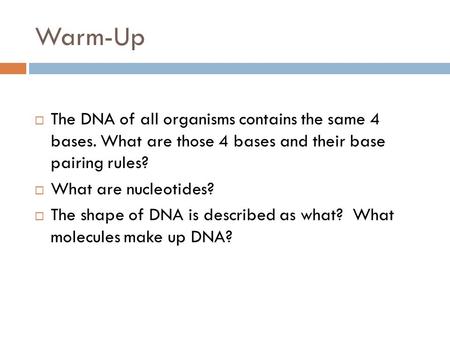 Warm-Up  The DNA of all organisms contains the same 4 bases. What are those 4 bases and their base pairing rules?  What are nucleotides?  The shape.