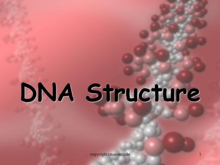 1 DNA Structure copyright cmassengale. 2 DNA Nucleotide O=P-O OPhosphate Group Group N Nitrogenous base (A, G, C, or T) (A, G, C, or T) CH2 O C1C1 C4C4.