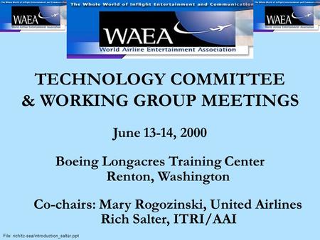 WAEA Technology Committee [June 13-14, Seattle Washington] File: rich/tc-sea/introduction_salter.ppt TECHNOLOGY COMMITTEE & WORKING GROUP MEETINGS June.