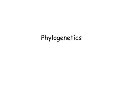 Phylogenetics.