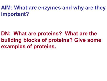 AIM: What are enzymes and why are they important? DN: What are proteins? What are the building blocks of proteins? Give some examples of proteins.