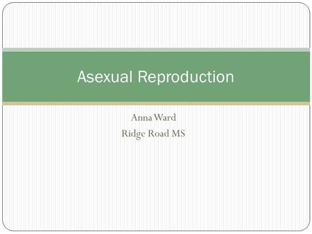 Anna Ward Ridge Road MS Asexual Reproduction. Warm Up Please read the article, “IN DEPTH” about salamanders. Answer the following questions in your science.
