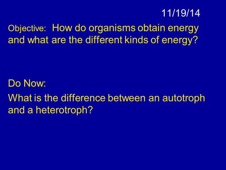 11/19/14 Objective: How do organisms obtain energy and what are the different kinds of energy? Do Now: What is the difference between an autotroph and.