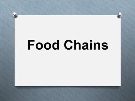 Food Chains.