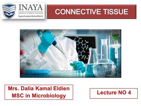 Mrs. Dalia Kamal Eldien MSC in Microbiology.  There are two main sub-classes of connective tissue :- 1) Connective tissue proper 2) Specialized connective.