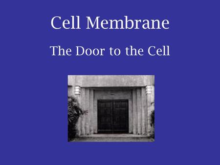 Cell Membrane The Door to the Cell. Structure of the Cell Membrane.