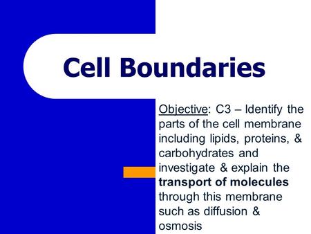 Objective: C3 – Identify the parts of the cell membrane including lipids, proteins, & carbohydrates and investigate & explain the transport of molecules.