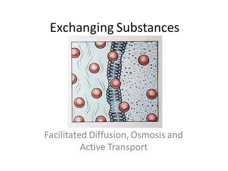 How Is Active Transport Different From Diffusion And Osmosis Crossword How Is Active Transport Different From Diffusion And Osmosis Crossword