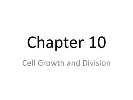 Chapter 10 Cell Growth and Division. Terms to Know: Histone DNA, Chromosomes, Chromotids, Genes Prokaryote, Eukaryote Cell Cycle, Interphase, Mitosis,