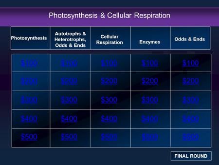 Photosynthesis & Cellular Respiration $100 $200 $300 $400 $500 $100$100$100 $200 $300 $400 $500 Photosynthesis FINAL ROUND Autotrophs & Heterotrophs, Odds.