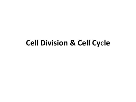 Cell Division & Cell Cycle. Reproduction.